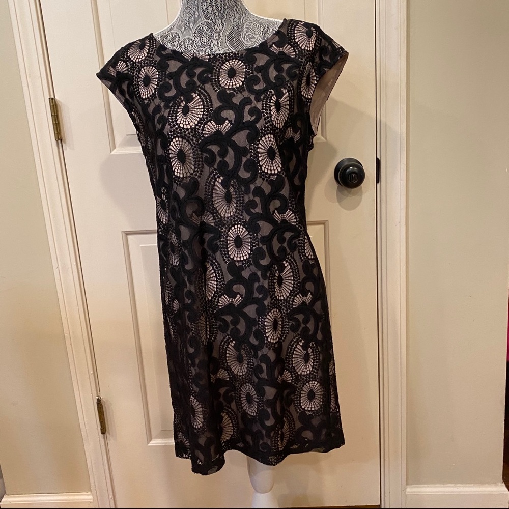 LOFT black lace cap sleeve shift dress